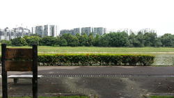 Blk 405 Pandan Gardens (Jurong East), HDB 5 Rooms #132721632